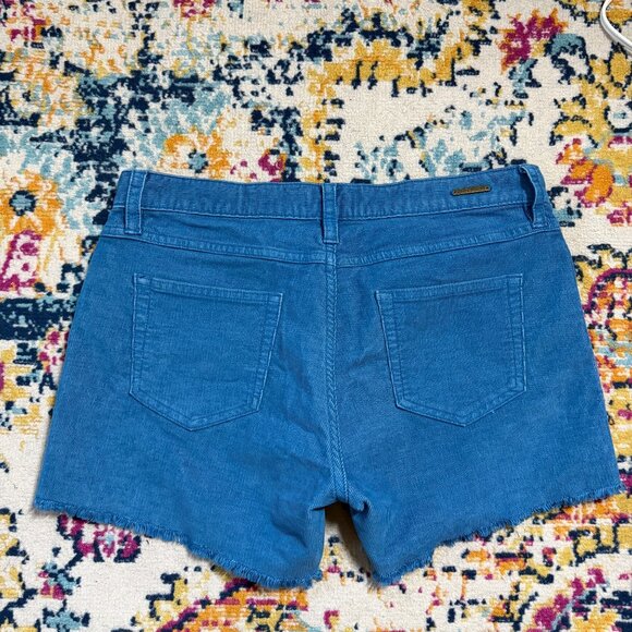 Carve Design Dogtown Corduroy Shorts Womens Size 2 Outdoors Gorpcore Beach Retro - Picture 9 of 9
